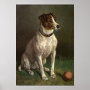 Search for old dog photos posters Animal