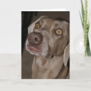 Search for attentive cards Pet