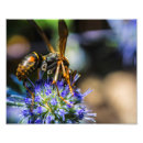 Search for bee aware art Bees
