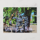 Search for napa postcards Grapes