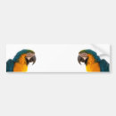 Search for parrot bumper stickers Macaw