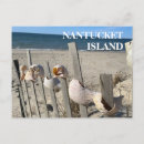 Search for nantucket postcards Ocean