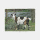 Search for cute goat blankets Pet