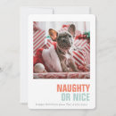 Search for naughty children cards Dog