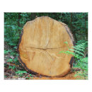 Search for section art Log