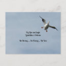 Search for flying eagle postcards Wildlife photography
