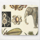 Search for assortment mousepads Animals