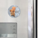 Search for dachshund magnets Brown