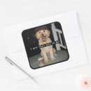 Search for golden doodle stickers Vintage