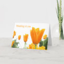 Search for adopted mother cards Birthmom