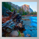 Search for tree roots posters Nature