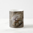 Search for photography lovers mugs Pets