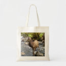 Search for red deer bags Nature