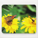 Search for peacock butterfly mousepads Flowers
