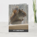 Search for red squirrel christmas cards Animal