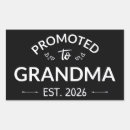 Search for promoted to grandma stickers 2026