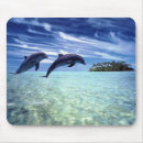 Search for dolphin mousepads Animals