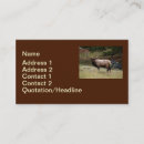Search for nations business cards Animal