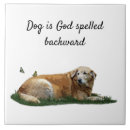 Search for dog breed tiles Labrador