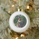 Search for kangaroo christmas tree decorations Australian
