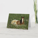 Search for foal cards Flowers