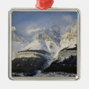 Search for alberta christmas tree decorations Banff