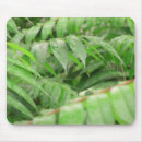 Search for drop leafs mousepads Green
