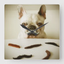 Search for french bulldog nursery decor Pet