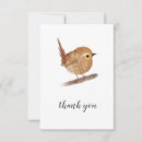 Search for wren bird cards Birds