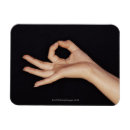 Search for gesturing magnets People
