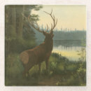 Search for backing barware Nature