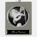 Search for unique pet memorials Cat