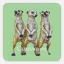 Search for meerkat stickers Cute