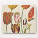 Search for spring bulbs electronics Tulip