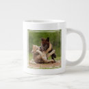 Search for baby wolf pups Canis lupus lycaon