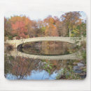 Search for central park mousepads New york city