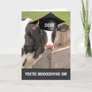 Search for cow puns cards Animal