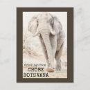 Search for elephant postcards Chobe