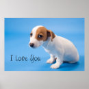 Search for jack russell posters Portrait