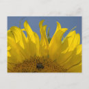 Search for bumble photography Flowers