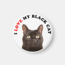 Search for black cat magnets Cute