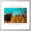 Search for antelopes posters Africa