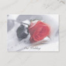 Search for dreams photography Roses