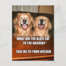 Search for alien postcards Dog