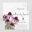 Search for coneflower invitations Purple