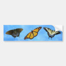 Search for swallowtail butterfly bumper stickers Nature