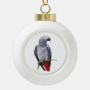 Search for parrot christmas tree decorations African grey parrot