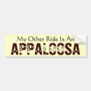 Search for appaloosa bumper stickers Appy