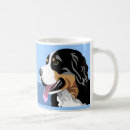 Search for bernese Animals