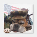 Search for boxer dog magnets Animals
